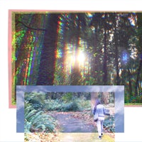 a person walking down a path in the woods